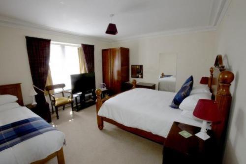 The Haven Guest House Плоктън Екстериор снимка